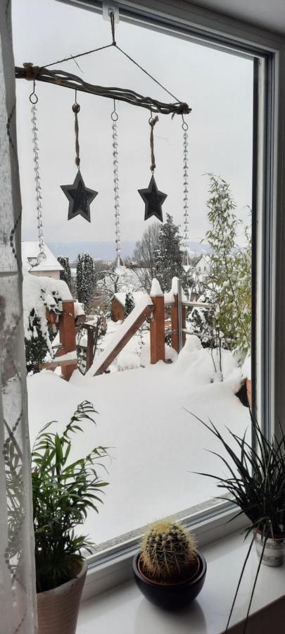 Appartment Fasanenhof Klinikum Und Uni Nah Mit Netflix Kassel Exterior photo